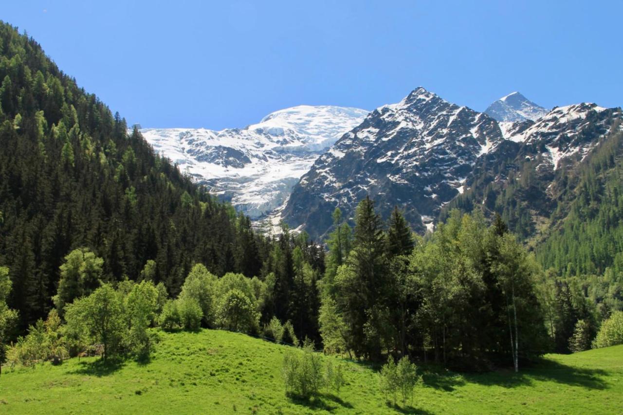 Modern Chalet With Garden Chamonix Buitenkant foto